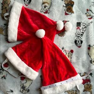Pack of 3 Festive Red Santa Hats with White Trim and bibs